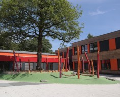 Waldschule Schulhof